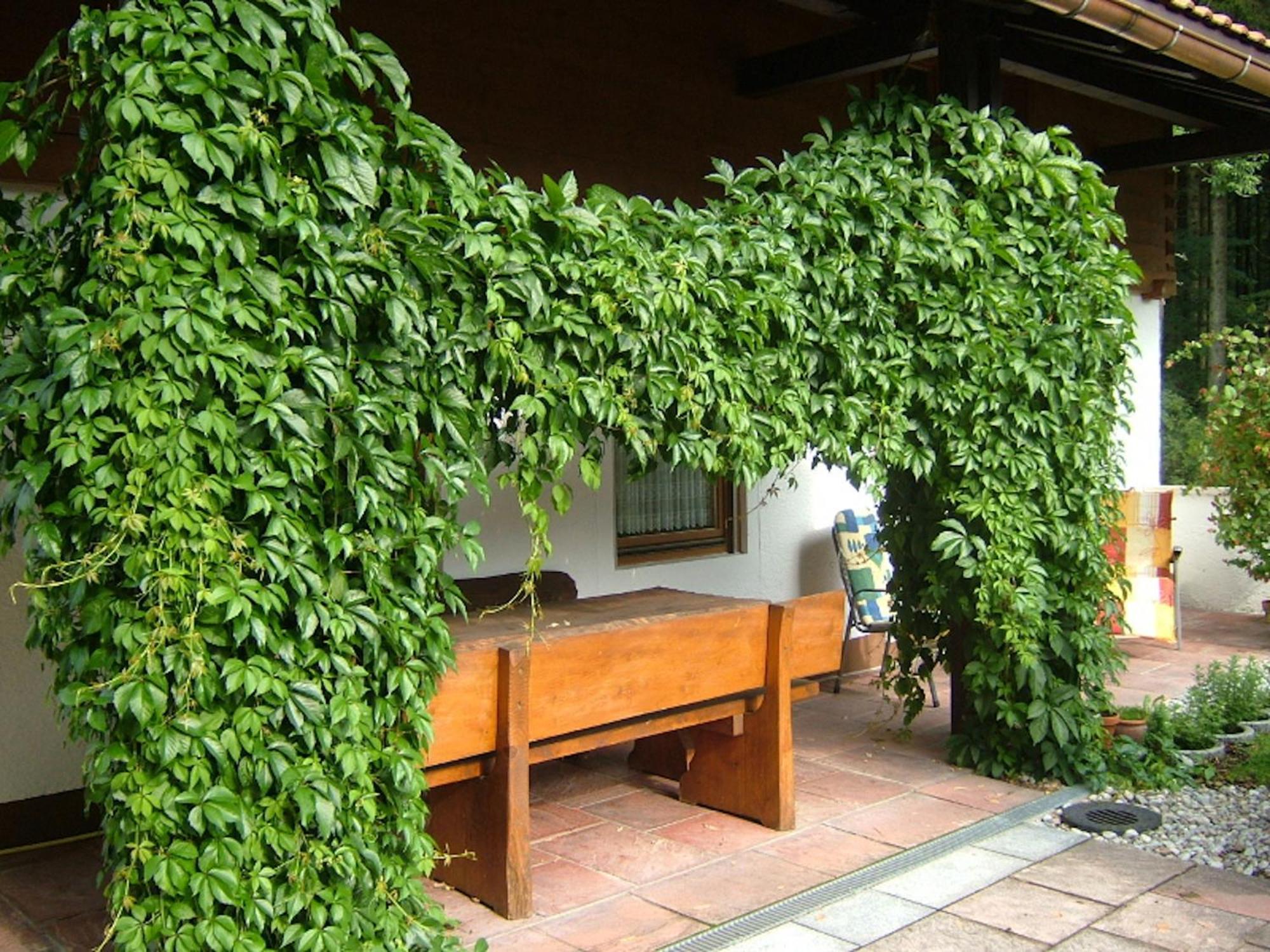 Haus Mayerbüchler - Chiemgau Karte Inzell Exterior foto